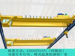 新疆哈密低净空行吊生产